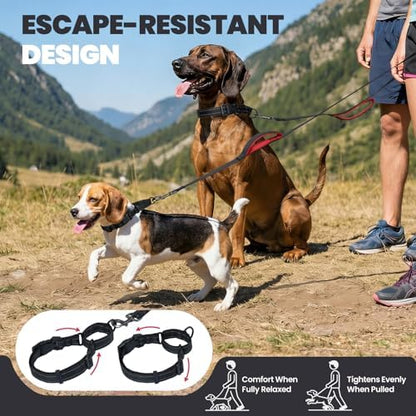 VIVAGLORY Double Handle Dog Leash Twingrip, 5ft x 1in, S, Black - Image 2