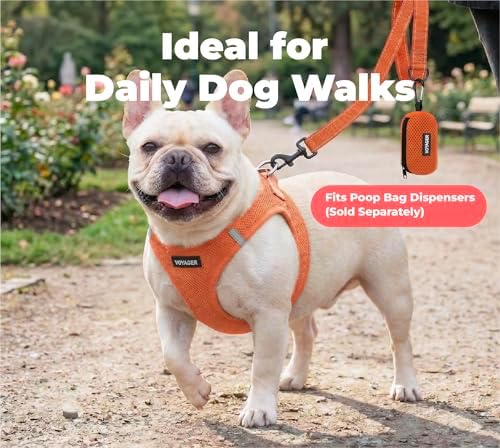 Best Pet Supplies Voyager Nylon Dog Leash - Orange, Large - Image 3