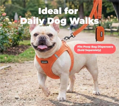 Best Pet Supplies Voyager Nylon Dog Leash - Orange, Small - Image 3