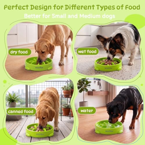 WinTour Slow Feeder Dog Bowls for Small Medium Pets, Round PP Dish, 1 Pack - Image 4