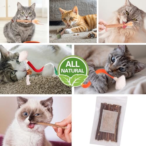 Kyouki Cat Toys Cat Chew Toys, Silvervine Sticks Catnip Rope Toys for Cats Teeth Cleaning, Kitten Dental Care, Kitty for Indoor Cats Increase Appetite,Enhances Oral & Dental Health (21 Pack) - Image 3