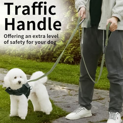 Reflective Dog Leash with Double Handle, Dog Leash 6 FT Long, Supports Medium, and Large Dogs, Heavy Duty for Walking, Running, and Training, Green - Image 6
