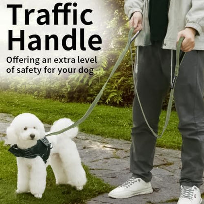 Reflective Dog Leash with Double Handle, Dog Leash 6 FT Long, Supports Medium, and Large Dogs, Heavy Duty for Walking, Running, and Training, Green - Image 6