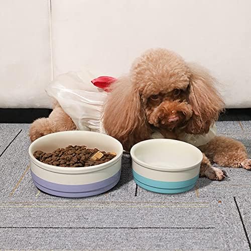 Sweejar Ceramic Dog Bowls, Dog Food Dish for Small Dogs and Cat, Heavy Duty Porcelain Pet Bowl for Canned Food and Water 17 Fl Oz （Purple） - Image 5