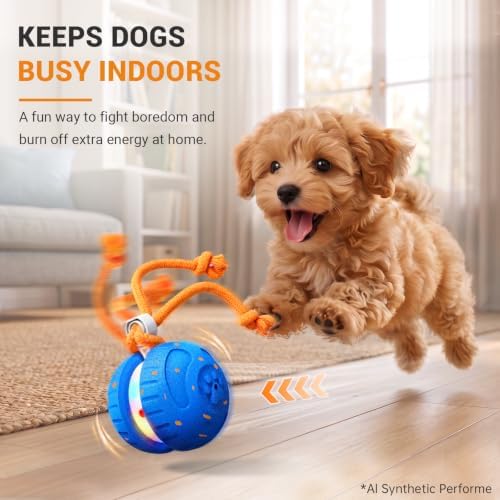 Pamlulu Interactive Dog Toy for Small & Medium Dogs, Fun Enrichment Toy to Keep Dogs Busy, Chew-Friendly Puppy Toy for Indoor & Outdoor Play, Dog Birthday Gift - Image 2