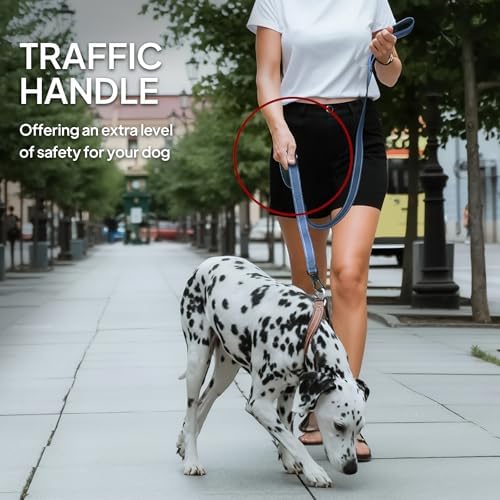 Twoear 4FT 1IN Heavy Duty Dog Leash for Large Dogs with 2 Padded Handles - Image 6