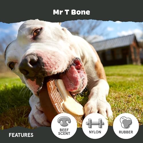 BarkBox Super Chewer Tough Dog Chew Toys - Large - Image 4