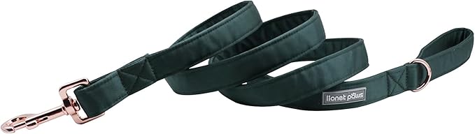 Lionet Paws Dog Leash - Silk Green Leash for Small Medium Large Dogs Matching Collar for Girl and Boy