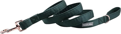 Lionet Paws Dog Leash - Silk Green Leash for Small Medium Large Dogs Matching Collar for Girl and Boy