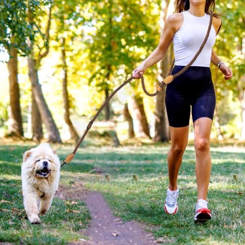 Mile High Life Hands Free Dog Leash, Crossbody Waist Leash with Genuine Leather Connection, Multifunctional Adjustable Slip Lead for Dog Walking Running (Dark Brown, 8FT) - Image 2