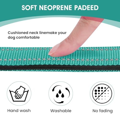 Reflective Dog Collar, Adjustable Nylon for Large Dogs,Teal - Image 3