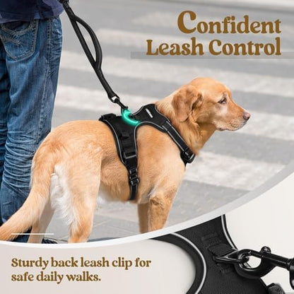 rabbitgoo Dog Harness, No Pull for Small Dogs with 2 Leash Clips, Pet Vest - Image 6