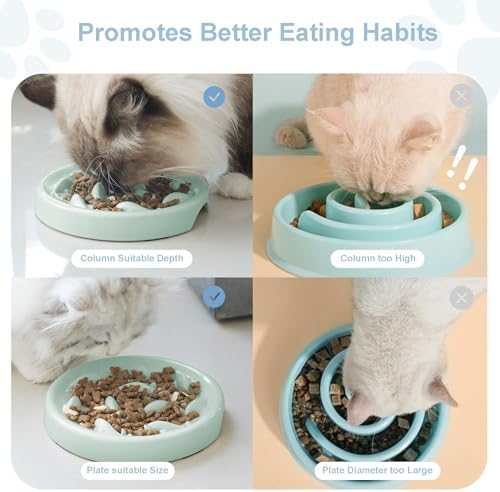Slow Feeder Bowl for Cats and Small Dogs,Cilkus Fish Pool Design, Fun Interactive Bloat Stop Puzzle Feeder Bowl Healthy Eating Diet Made of Melamine Food Grade Material Dishwasher Safe (Green) - Image 3