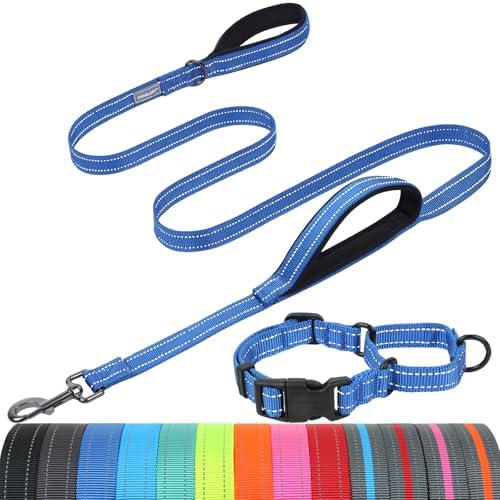 VIVAGLORY Double Handle Dog Leash Twingrip, 5ft x 1in, M, Navy by VIVAGLORY
