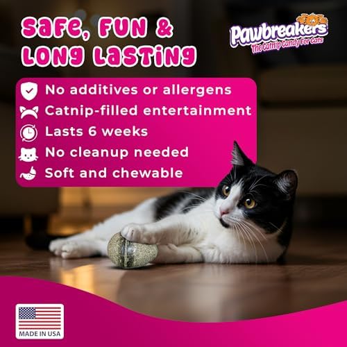 Pawbreakers 2 Catpurry Eggs - All-Natural cat Treats, Medical Grade Catnip Treat and Toy, Catnip for Cats for Relaxed Play, Safe & Digestible, Hypoallergenic & Vegan - 2.25 inches Tall, Made in USA - Image 6