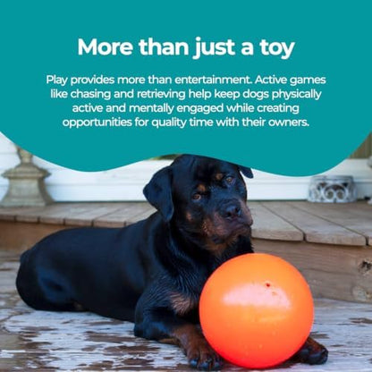 Jolly Pets Bounce-n-Play Dog Toy Ball, 8 Inches/Large, Orange, (Model: 2508 OR) - Image 4