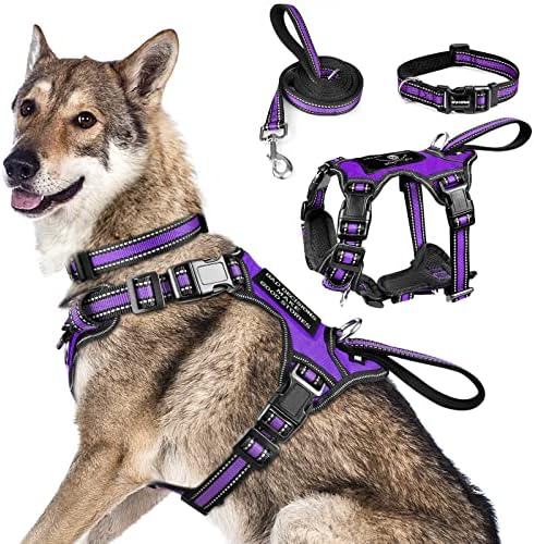 WINSEE Pet Harness Collar and Leash Set, All-in-one Reflective Dog Harness No Pull with Adjustable Buckles for Puppies, Small, Medium, Large, and Extra-Large Dogs (X-Large, Purple) by WINSEE