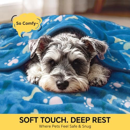 Luciphia 3 Pack Cute Dog Blankets Soft Fleece for Small Puppy Cat,41"x31" - Image 2