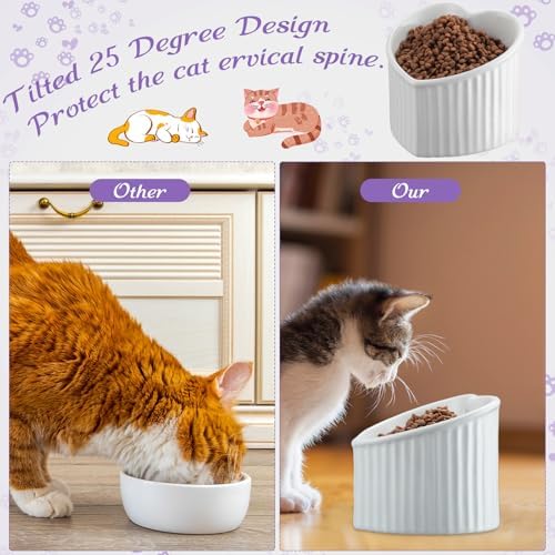 Mumufy 2 Pcs Ceramic Elevated Cat Bowls Tilted Elevated Raised Pet Bowls Anti Vomit Cat Dish for Indoor Stress Free Water Dish Feeder for Puppies, Heart Shaped(White, Purple) - Image 3