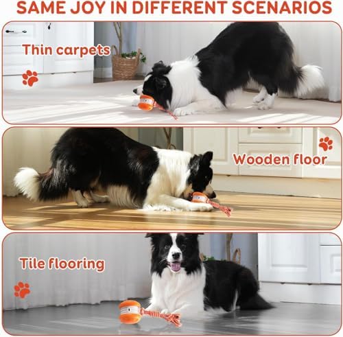 Interactive Dog Ball,Random Path Electric Moving Dogs Toy with Rope - Image 6
