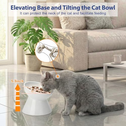 Ceramic Slow Feeder Cat Bowl, 2 Cups Tilted Elevated Honeycomb Food Dish - Image 4