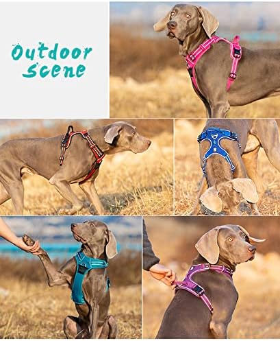 Truelove Dog Harness No Pull Nylon Reflective Pet Harness Adjustable Comfortable Control Step-in Brilliant Colors TLH56512 Orange - Image 6