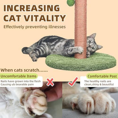 Meowoou Cat Scratching Post 33 Inch Tall Cat Scratcher for Indoor Cats Adults,Small Cat Tree Tower Sisal Rope Kitten Scratch with Interactive Hanging Ball - Image 4
