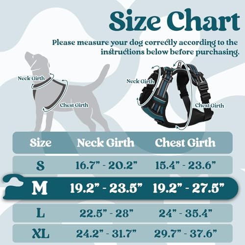 rabbitgoo Dog Harness Medium Sized, Updated Easy On & Off with 3 Buckles - Image 2