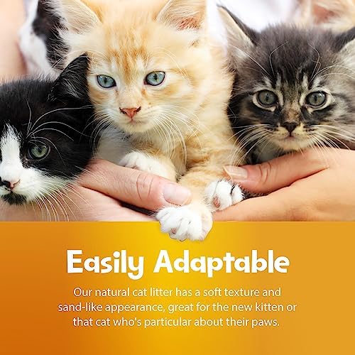 SmartCat All Natural Clumping Cat Litter, 20 Pound (320oz 1 pack) - Alternative to Clay and Pellet Litter - Chemical and 99% Dust Free - Unscented and Lightweight - Image 6