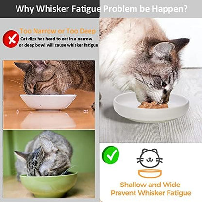 Ceramic Cat Bowls,Shallow Cat Dishes for Food and Water, 6 inch Matte Finish Wide Cat Food Bowl,Whisker Fatigue Free Pet Puppy Kitten Bowl Set of 3,Dishwasher Safe - Image 5