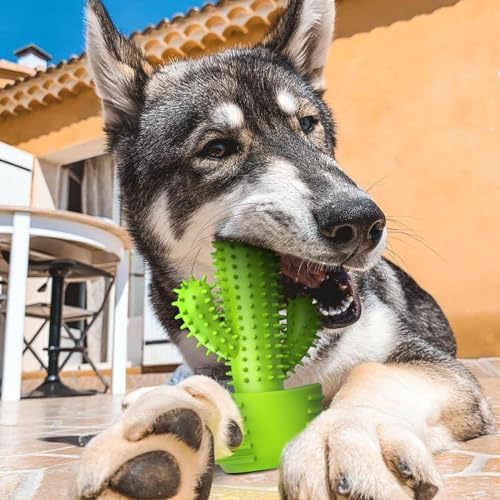Pamlulu Dog Chew Toys, Toothbrush Stick Teeth Cleaning Brush Dental for Small Medium Large Dog, Rubber Squeaky Toys for Aggressive Chewers Cactus Tough Toys - Image 6