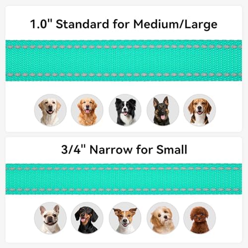 Joytale Reflective Dog Leash for Small Dogs, 6 FT x 3/4", Turquoise - Image 6