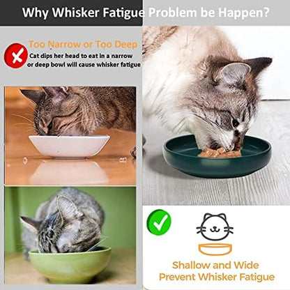 Ceramic Cat Bowls,Shallow Cat Dishes for Food and Water, 6 inch Matte Finish Wide Cat Food Bowl,Whisker Fatigue Free Pet Puppy Kitten Bowl Set of 3,Dishwasher Safe - Image 5