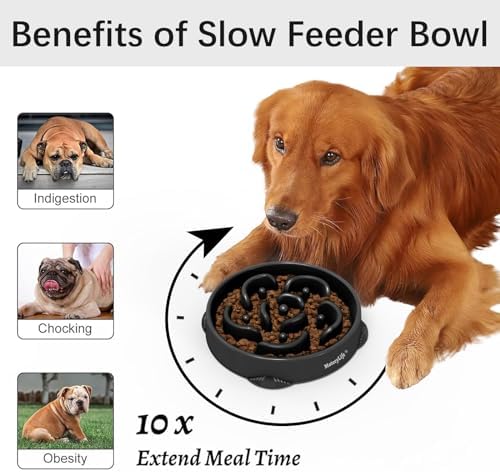 MateeyLife 1-Pack Slow Feeder Dog Bowls, 4 Cups, Dog Puzzle Feeder Bowl - Image 2