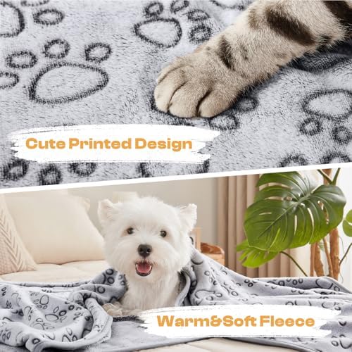 Luciphia Dog Blanket 3 Pack, Soft Cozy Fleece Throw for Puppy Cat,41"x31" - Image 5