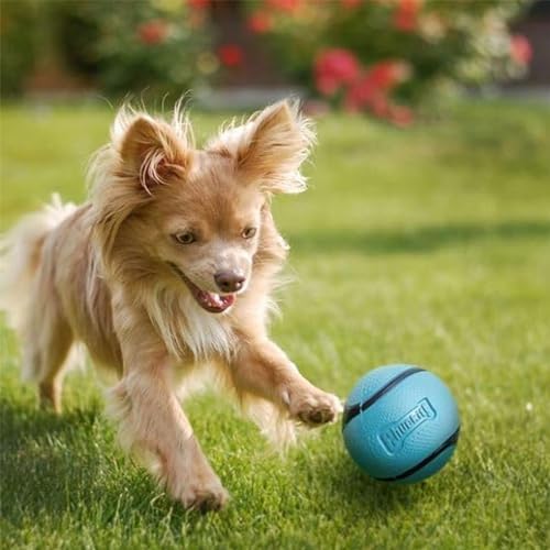 Chuckit! Sniff Ball Dog Toy, Bacon and Peanut Butter, Medium, 2 Pack - Image 4