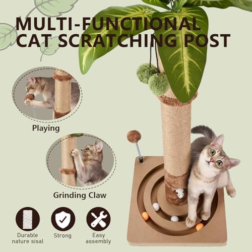 MECOOL 35in Tall Cat Scratching Post Sturdy and Premium Scratch Posts with Hanging Ball and Ball Track Cute Cat Tree for Indoor Cats - Image 4