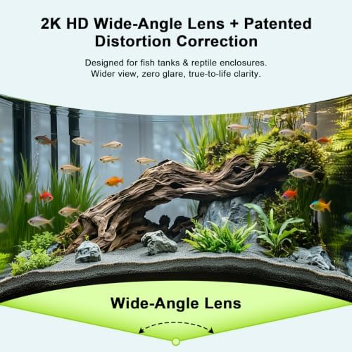 2K AI Reptile & Aquarium Camera with Wide-Angle Lens - Image 3