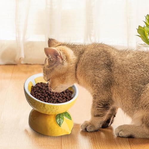 Elevated Cat Food Bowls for Indoor Cats Ceramic Raised Cat Bowl for Food and Water (Yellow) - Image 4