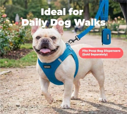 Best Pet Supplies Voyager Nylon Dog Leash - Royal Blue, Large - Image 4