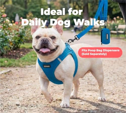 Best Pet Supplies Voyager Nylon Dog Leash - Royal Blue, Small - Image 4