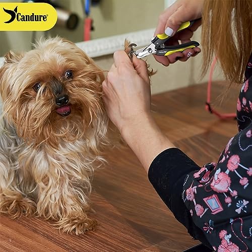 Candure Dog Nail Clippers for Pet Grooming - Professional Cat Nail Trimmers Suitable for Small to Medium Breeds with a Safety Guard & Nail File - Image 6