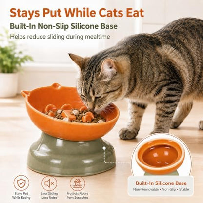 Ceramic Slow Feeder Cat Bowl, 15-Degree Tilted Non-Slip - Image 5