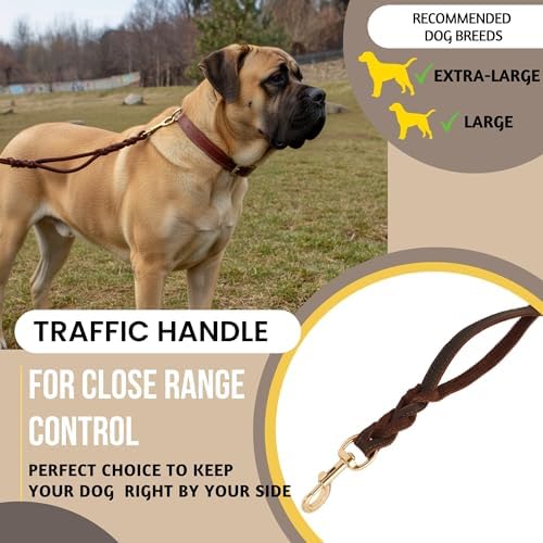 ADITYNA 6ft Leather Dog Leash with Traffic Handle for Extra-Large Dogs - Image 2