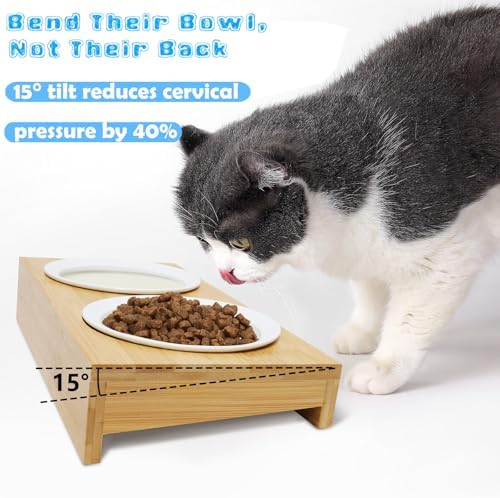 Elevated Cat Bowls,Shallow Wide Whisker Friendly Cat Food & Water Bowl Set - Image 3