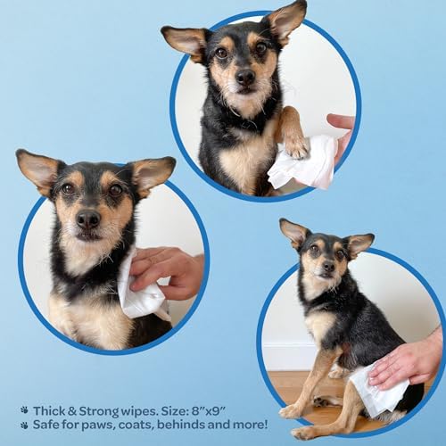 Best Pet Supplies Cleaning Dog Wipes - Moisturizing Coconut 100 Count - Image 3