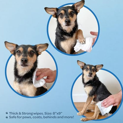 Best Pet Supplies Cleaning Dog Wipes - Moisturizing Coconut 100 Count - Image 3