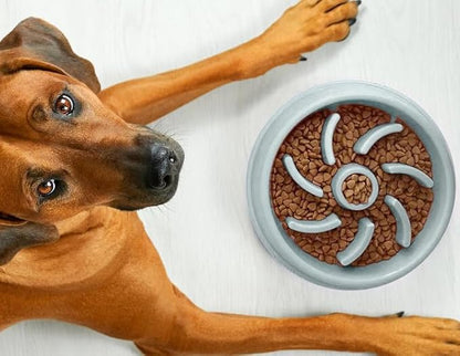 Cutie's PetBox Slow Feeder Dog Food Bowl, Plastic Swirl Design with Anti-Slip Base (Blue)