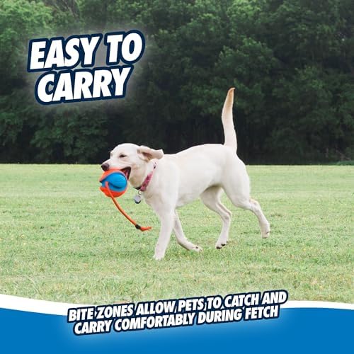 Chuckit! Rope Fetch Dog Toy, Ball on Rope, Durable EVA Rubber, 5.5-in - Image 6