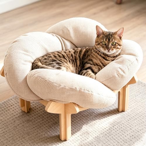 PACHIRA Elevated Cat Bed Wooden, Cat Couch Fluffy, Cat Sofa Flower for Indoor Cats, Raised Cat Bed with Washable Fluffy Cushion and Birch Wood, Cat Chair for Kitty and Puppy, Cat Furniture (White) by Unknown